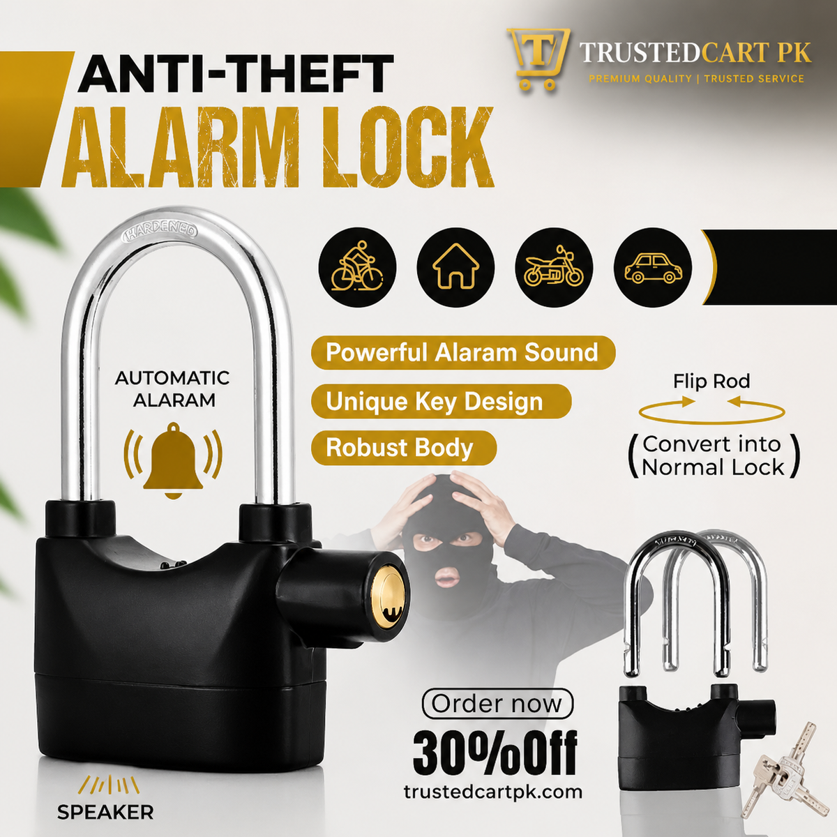 Anti-Theft Alarm Lock